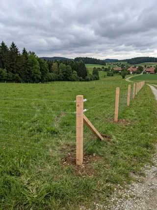 Weidezaun in Leipzig - fachgerechte Ausführung vor Ort