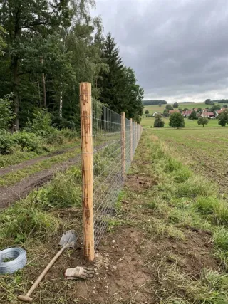 Wildzaun in Leipzig - fachgerechte Ausführung vor Ort